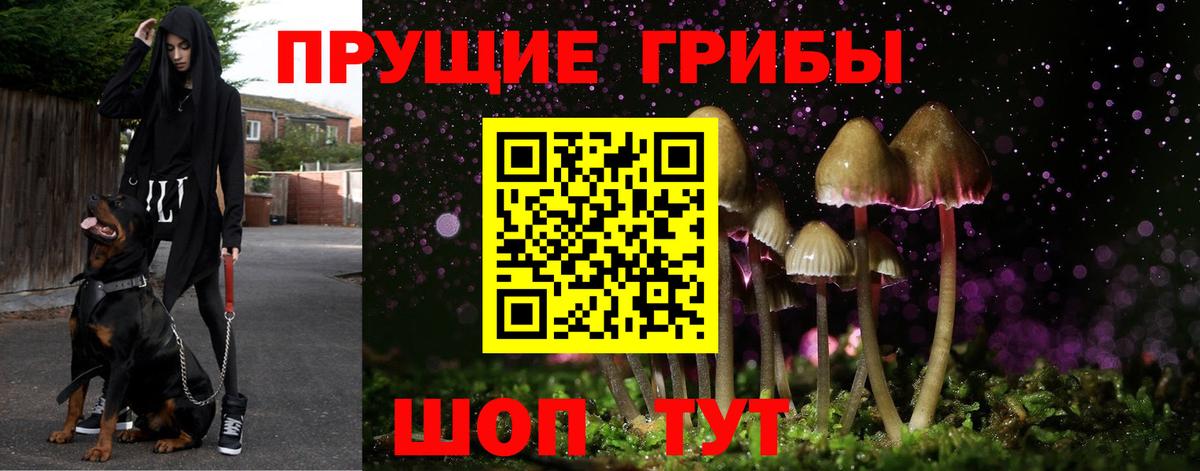 Электрогорск  Галлюциногенные грибы GOLDEN TEACHER  купить закладку  Вход с VPN 